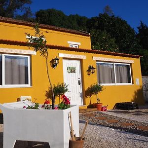 Al Vila Presepio Bed & Breakfast Alenquer Exterior photo