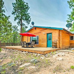 Red Feather Lakes Cabin With Wraparound Deck! Exterior photo