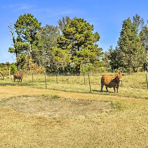 Cozy Hawkinsville Studio On Operating Farm! Exterior photo