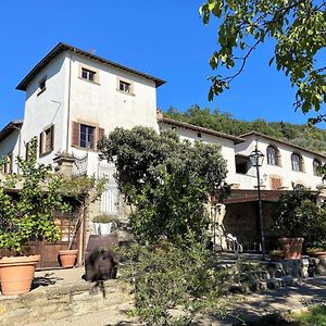 Apartment Villa Grassina-4 By Interhome Pelago Exterior photo