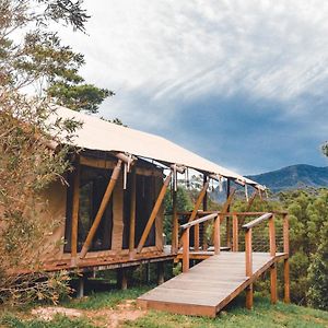 Silk Pavilions Glamping Hotel Mount Burrell Exterior photo