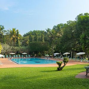 Tamarind Tree Garden Resort - Katunayake Negombo Exterior photo