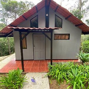 Koi'S House - Quebradillas De Dota Santa Maria Exterior photo