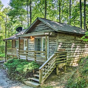 Cozy The Woodshop Cabin With Deck And Forest Views! Robbinsville Exterior photo