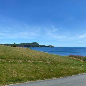 Ferryland Green House - Steps To Ocean! Exterior photo