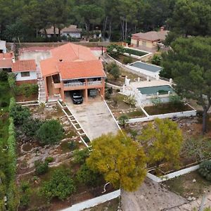 Villa Celia Alzira Exterior photo