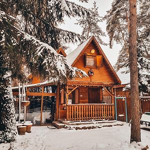 Tiny Wooden Cottage -Covasna Reci Exterior photo
