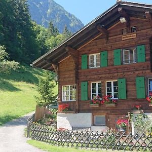 Aussergewohnlich, Einmalig, Anders Das Alpen-Paradies In Grindelwaldburglauenen Exterior photo