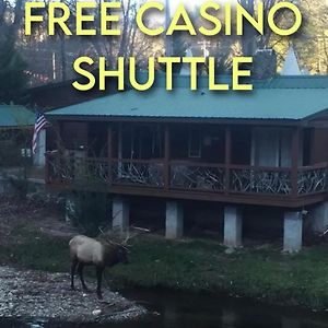 Qualla Cabins And Motel Cherokee Near Casino Whittier Exterior photo