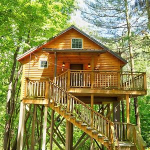 Wild Cherry Treehouse By Amish Country Lodging Millersburg Exterior photo