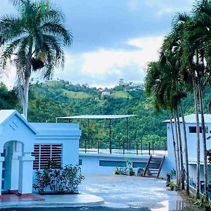 Jungle Guest House + Private Jacuzzi & Huge Patio! Caguas Exterior photo