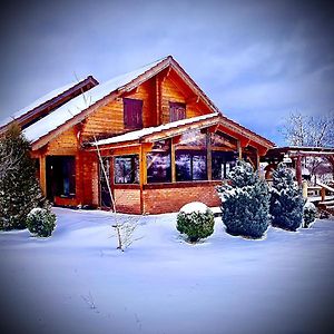 Casa Pascu Maramures Budesti  Exterior photo