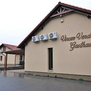 Vincze Vendeghaz Hotel Kiskunhalas Exterior photo