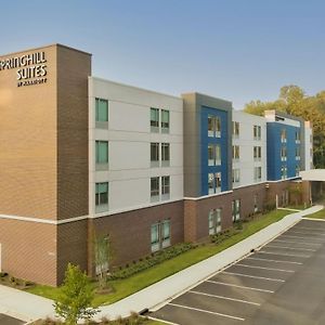 Springhill Suites By Marriott Charlotte Huntersville Exterior photo