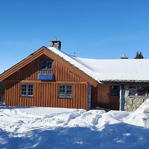 Cozy Log Cabin At Beautiful Nystolsfjellet Villa Gol Exterior photo