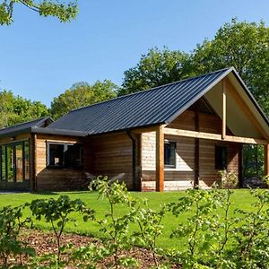 Cosy Wooden House Amid Woods In Soesterberg Utrecht Exterior photo