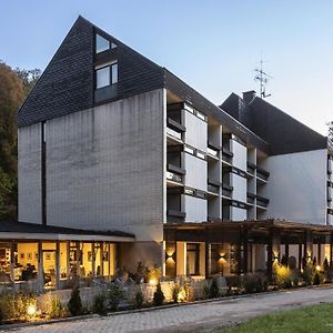 Hotel Luisenpark Bad Bergzabern Exterior photo