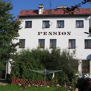 Pension Doctor Dvur Kralove nad Labem Exterior photo