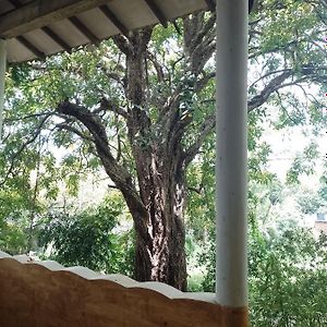 Kon Tree Shade Apartment Dambulla Exterior photo