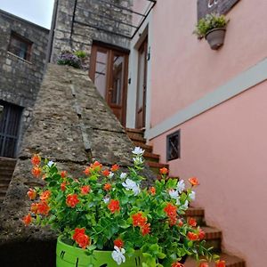 La Casa Di Amelia Hotel Ruviano Exterior photo