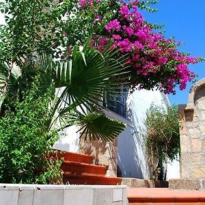 Theofilos Villa Lachania  Exterior photo