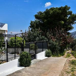 Μονοκατοικία Δίπλα Στην Θάλασσα Villa Salamis Exterior photo