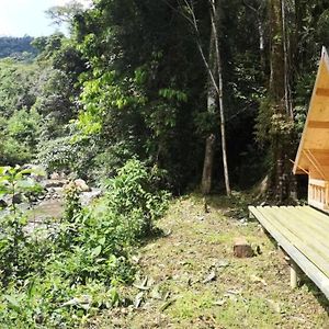 Tiny Cabin Lost In The Jungle Panama City Exterior photo