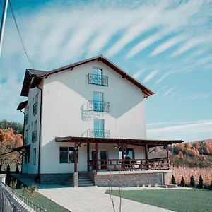 Casa Dumitru Hotel Cerasu Exterior photo