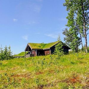 Beautiful Home In Gol With Sauna And 4 Bedrooms Exterior photo