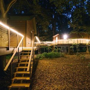 Greenbrier Beechhouse Luxury Treehouse Exterior photo