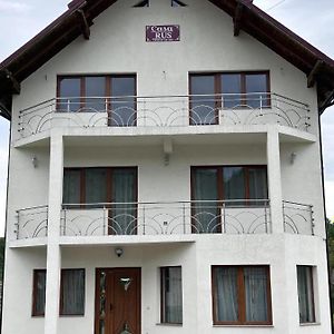 Casa Rus Villa Leordina Exterior photo
