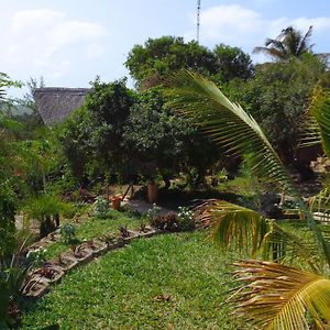 Casa Camaleao Gekko Cottadge Hotel Tofo Exterior photo