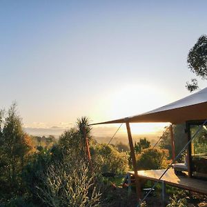 The Enchanted Retreat - Unforgettable Luxury Glamping Havelock North Exterior photo