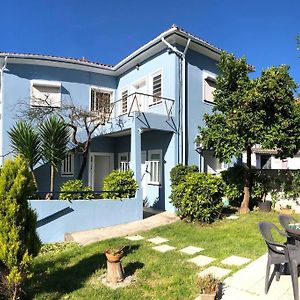 Casa Milheiro - Sunny Garden In Porto Villa Aguim Exterior photo