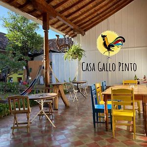 Casa Gallo Pinto Granada Exterior photo