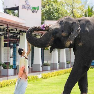 Elephyard Retreat Hotel Mahiyanganaya Exterior photo