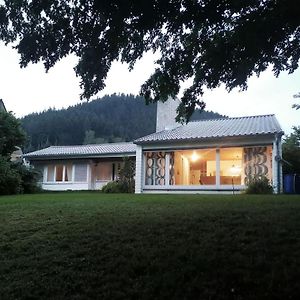 Haus Erika Villa Alpirsbach Exterior photo