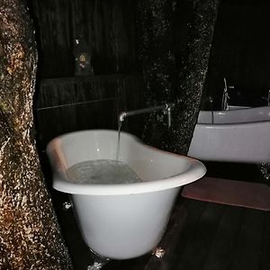 Tree House Reopen Apartment Rotorua Exterior photo