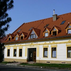 Penzion Antiqua Villa Spisska Stara Ves Exterior photo