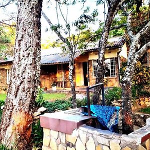12 Guest Stay In The Mountains Of Nyanga! Juliasdale Exterior photo