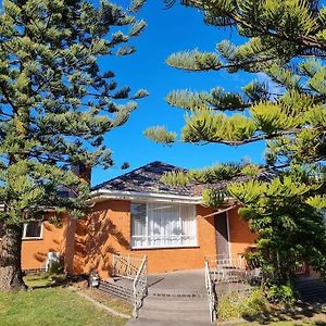Two Pines, Whole Home In Tullamarine Near Airport! Melbourne Exterior photo
