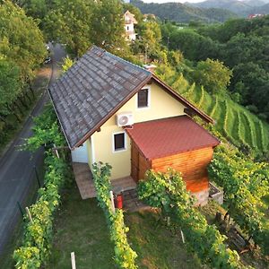 Adorable Guesthouse In The Middle Of Vineyards Ptujska Gora Exterior photo