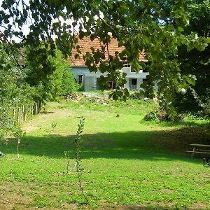 Le Sanglier Sauvage Bed & Breakfast Champsevraine Exterior photo