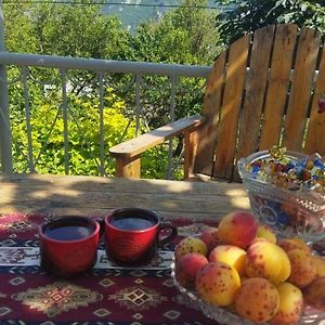 Arman Bed And Breakfast Halidzor Exterior photo