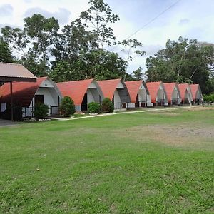 Eco Hotel Villas Del Tortuguero Cariari  Exterior photo