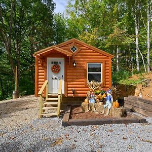 Cozy Cabins Of Cosby Villa Exterior photo