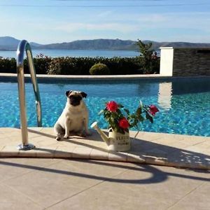 Spacious Villa With A Pool Nea Peramos  Exterior photo
