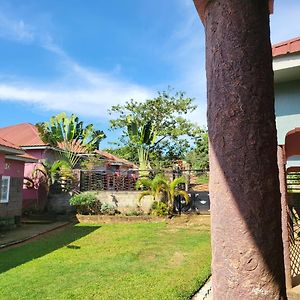 Green House Cottages - Cozy, Serene Space Entebbe Exterior photo