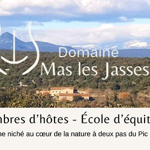 Mas Les Jasses Chambre D'Hote Calme Et Agreable A La Campagne Ferrieres-les-Verreries Exterior photo