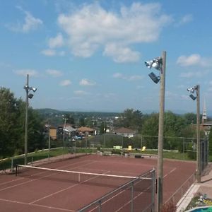 Logement Avec Stationnement Tennis Et Piscine Saguenay Exterior photo